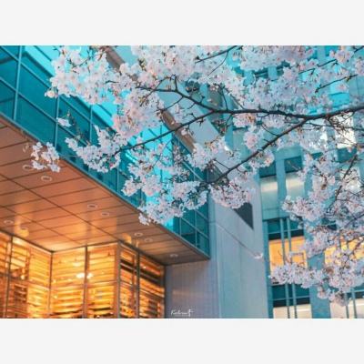 澳门第一娱乐娱城官网