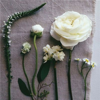 万博全站ManBetX官网